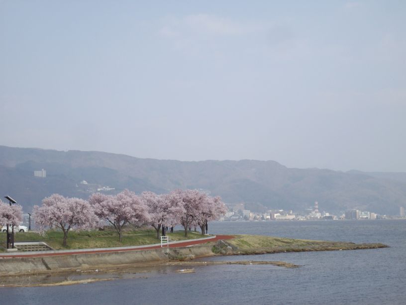 桜前線 只今 到着_b0329588_18450367.jpg