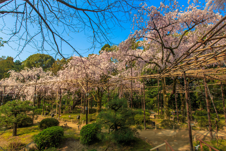 平安神宮_e0051888_172857.jpg
