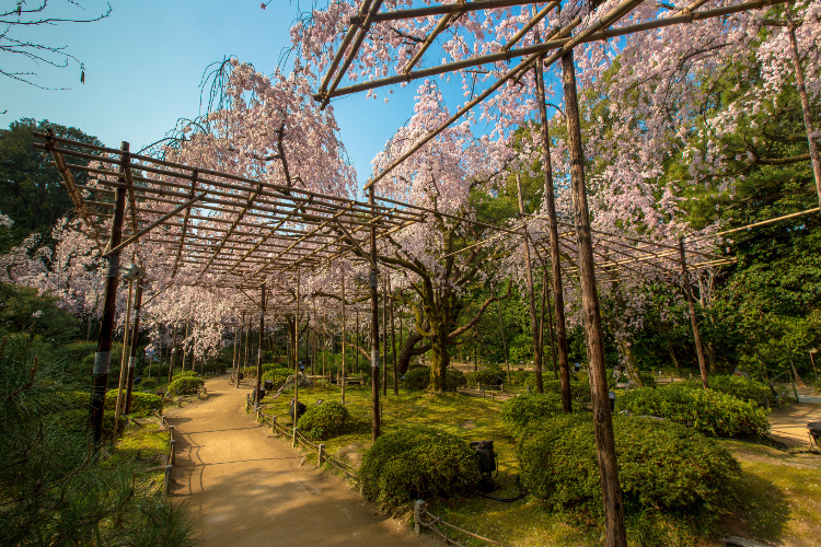 平安神宮_e0051888_1742740.jpg