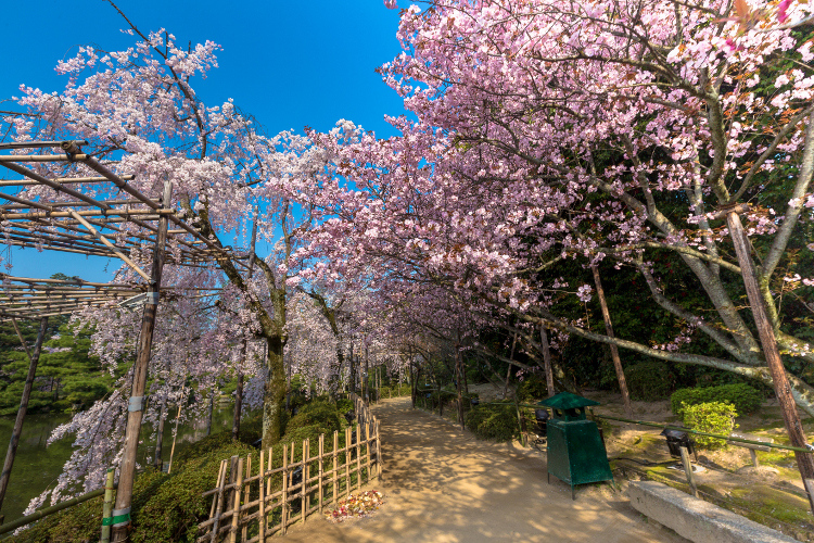 平安神宮_e0051888_1752855.jpg