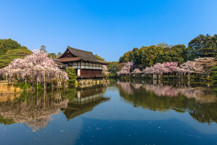 平安神宮_e0051888_175448.jpg