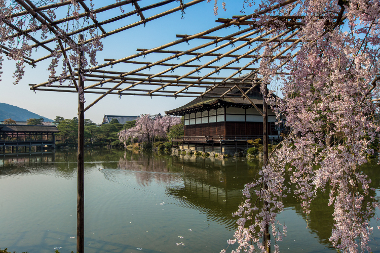 平安神宮_e0051888_175863.jpg