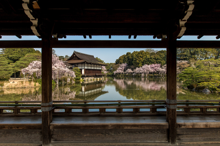 平安神宮_e0051888_21391783.jpg