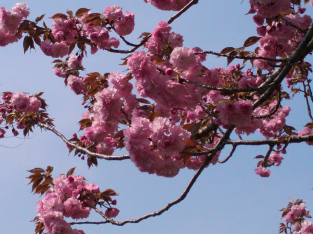 d0306695_7174328.jpg