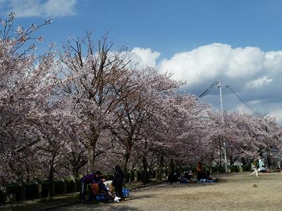b0051598_21281770.jpg