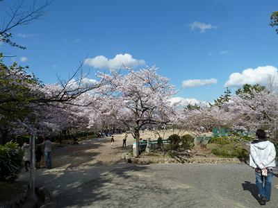 b0051598_21283038.jpg