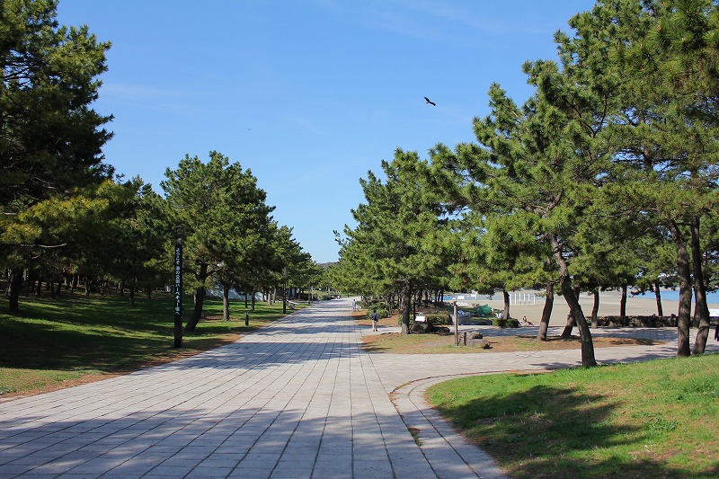 c0204298_11473912.jpg