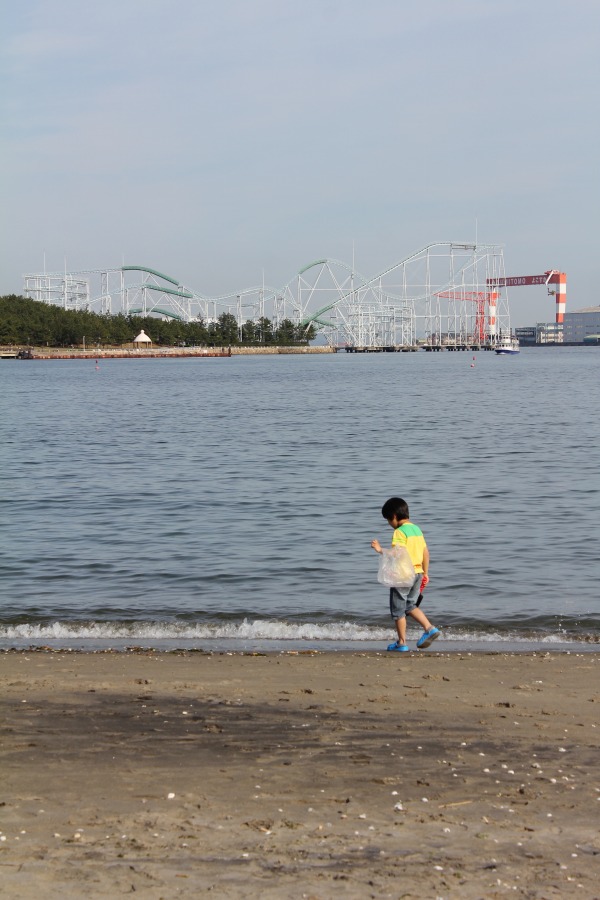 写真で綴る最近のできごと　5　【海の公園で貝拾い】_c0204298_11494376.jpg