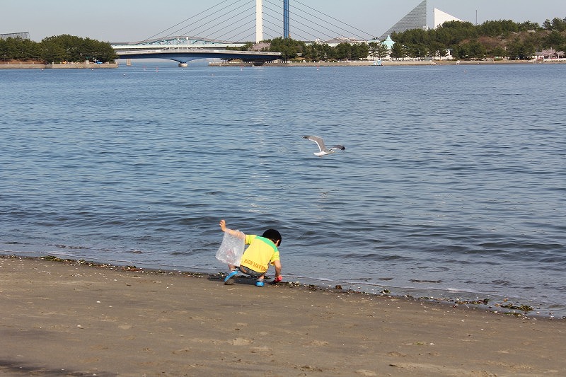 写真で綴る最近のできごと　5　【海の公園で貝拾い】_c0204298_11504357.jpg