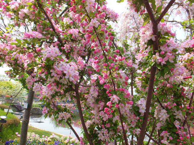 a0271502_16281978.jpg