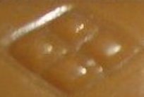 d0164702_20075327.jpg