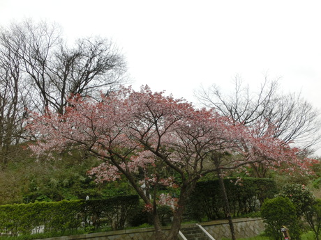 a0203003_19352464.jpg