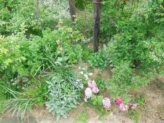 f0297809_0103113.jpg