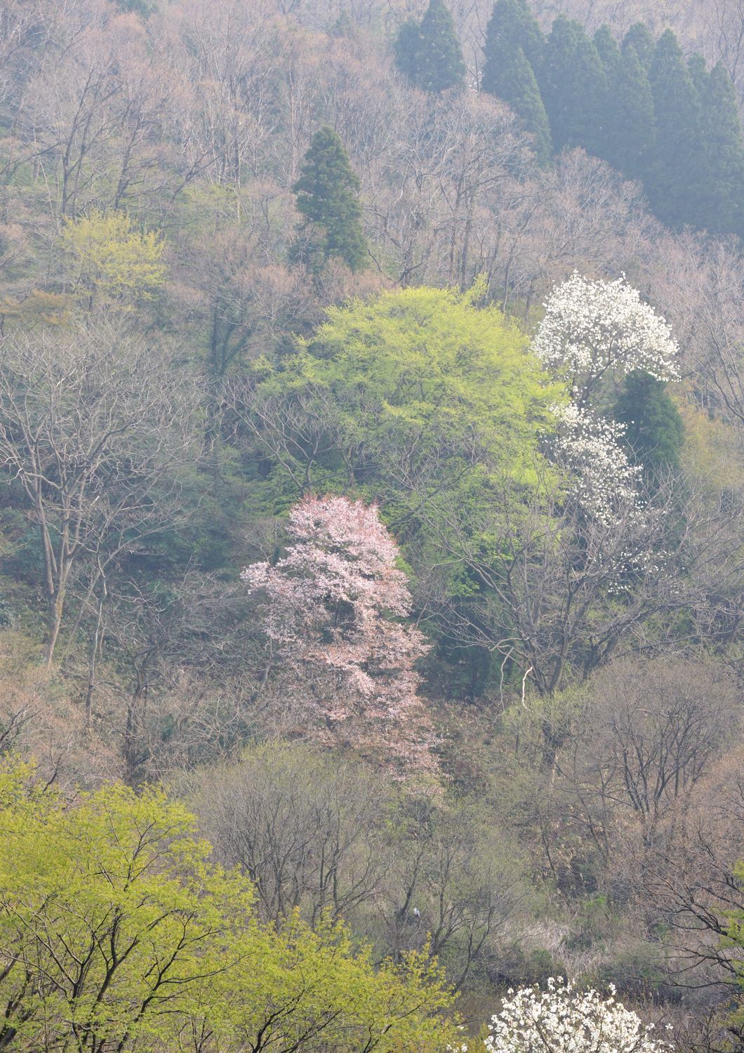 c0220824_17172127.jpg