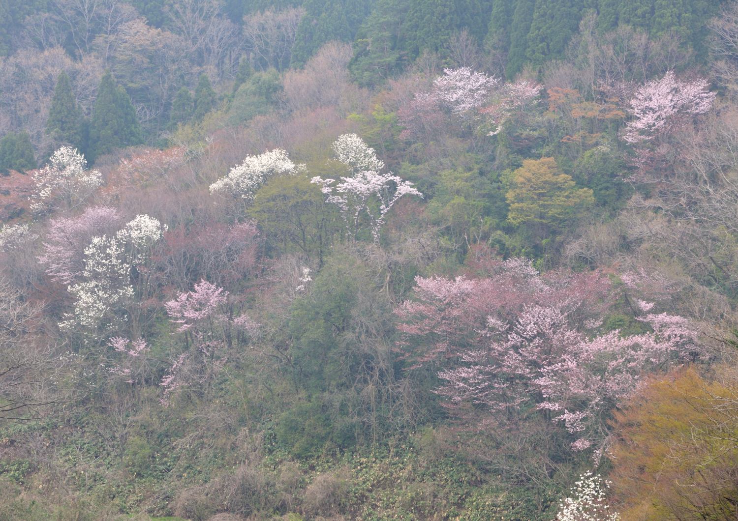 c0220824_1717738.jpg