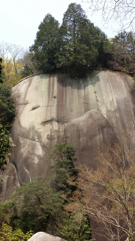 e0155231_01411.jpg