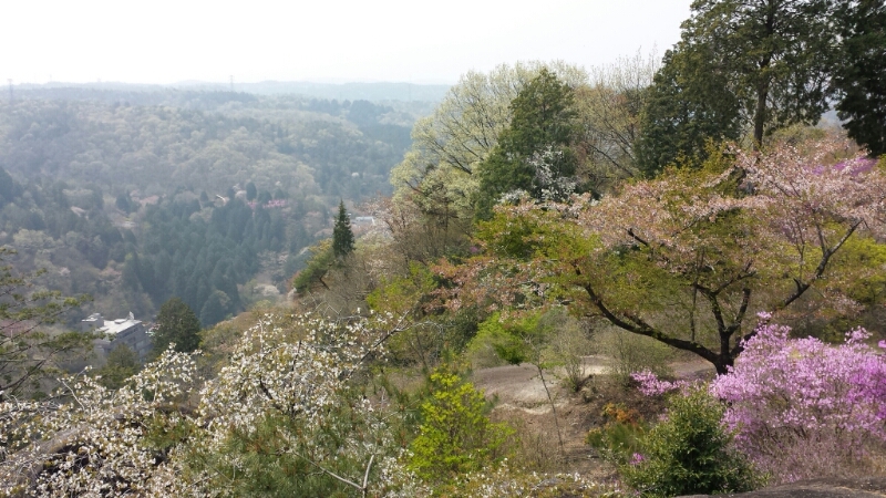 e0155231_04232.jpg