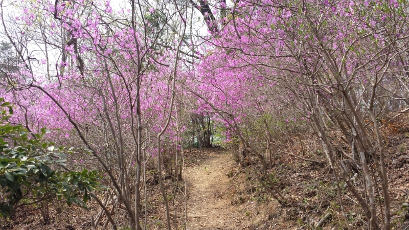 鬼岩公園おまけ_e0155231_085987.jpg