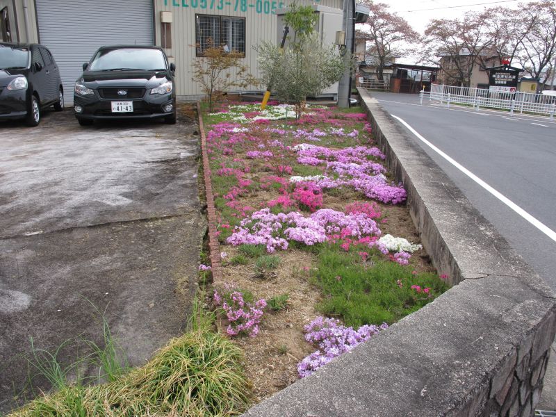 植生遷移と真のダウンサイジング_f0076731_19441561.jpg