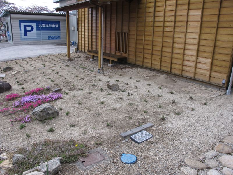 植生遷移と真のダウンサイジング_f0076731_19470414.jpg
