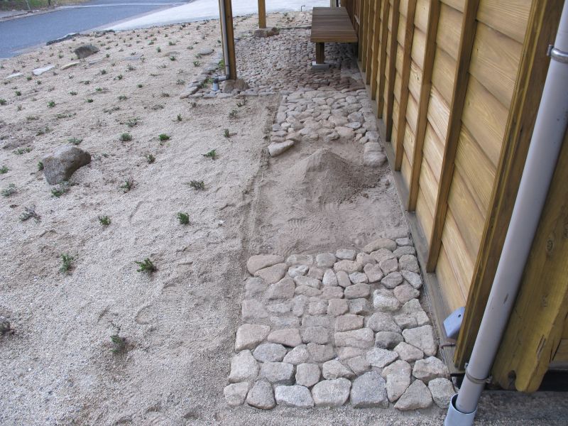 植生遷移と真のダウンサイジング_f0076731_19472221.jpg