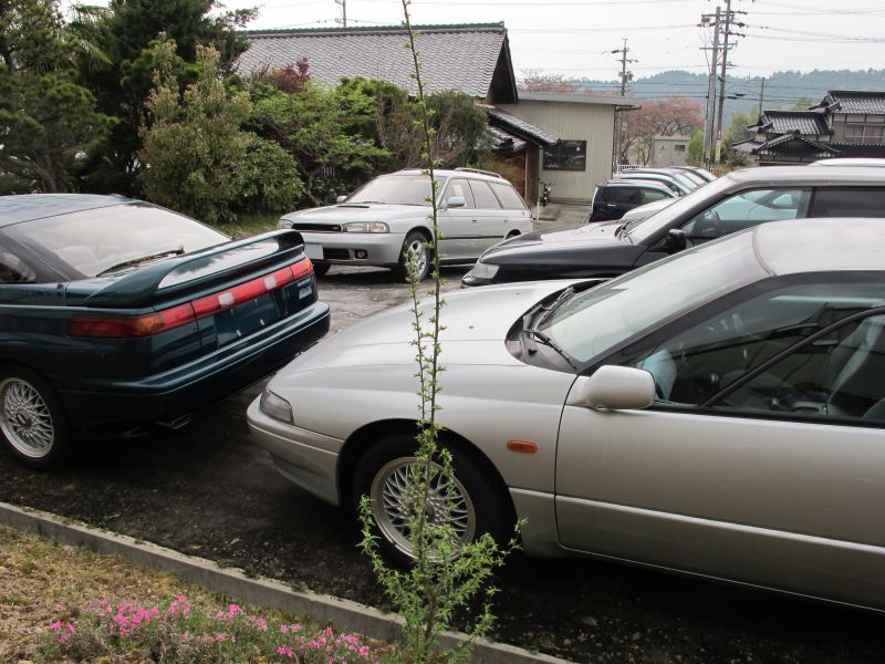植生遷移と真のダウンサイジング_f0076731_20345729.jpg