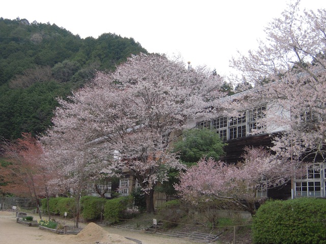 b0025633_20124236.jpg