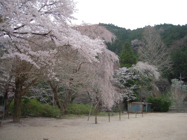 b0025633_20124830.jpg