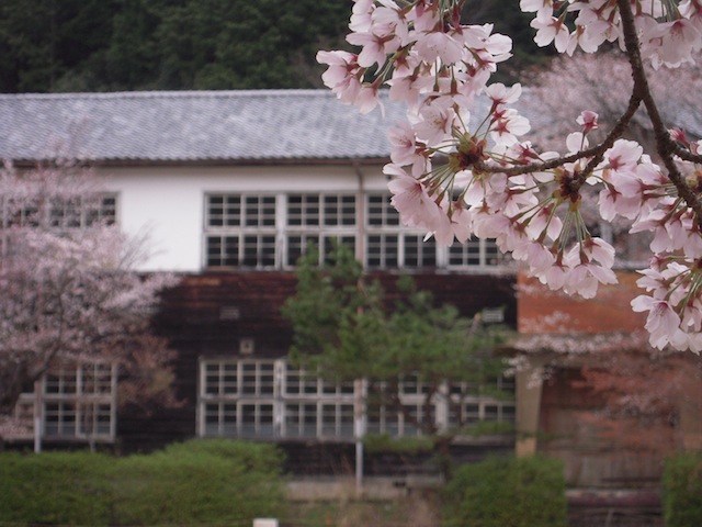 b0025633_20131513.jpg