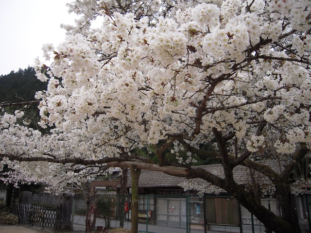 b0025633_20132068.jpg