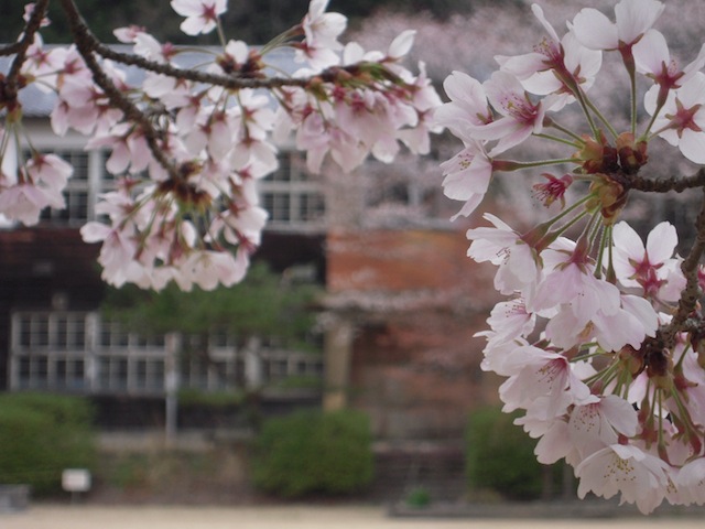 b0025633_2013526.jpg
