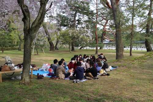 京都要庵歳時記　 『今年も春の京都御所一般公開が始まりました。』 4_d0033734_19223677.jpg