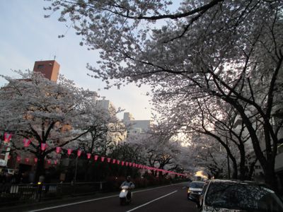d0136540_45247.jpg