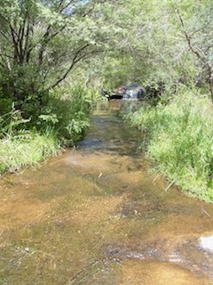 Minnehaha Falls Reserve_e0138350_214583.jpg