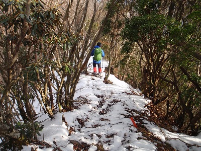 c0097754_1155634.jpg