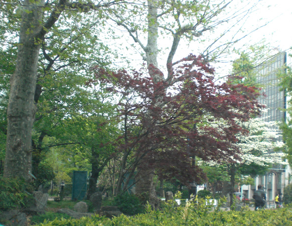a0053063_1941462.jpg