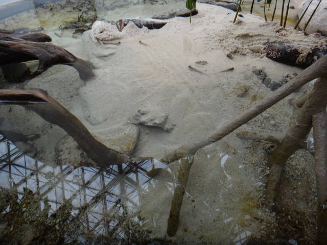 c0155364_48896.jpg