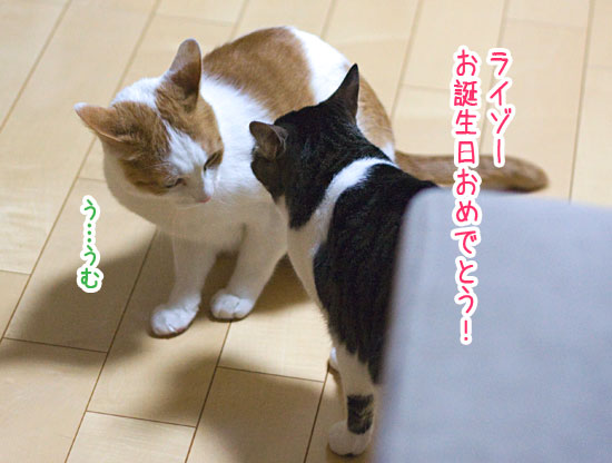 a0119470_0225558.jpg