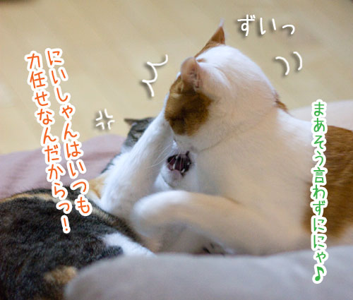a0119470_0232445.jpg