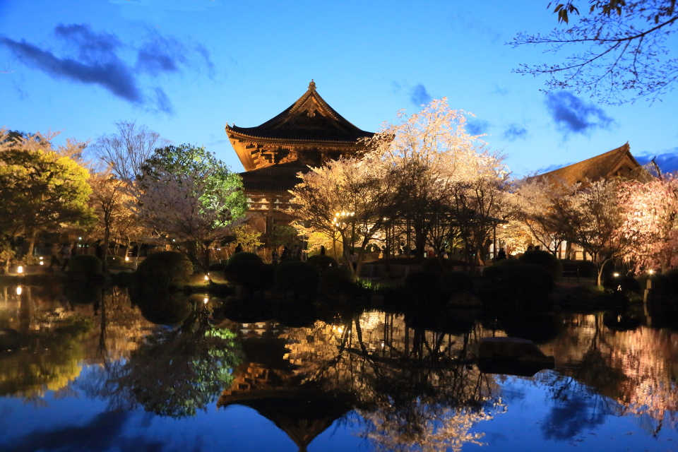 東寺（２）_e0096372_05404183.jpg