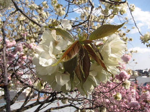 「取材させていただけませんか」_b0141773_1675912.jpg