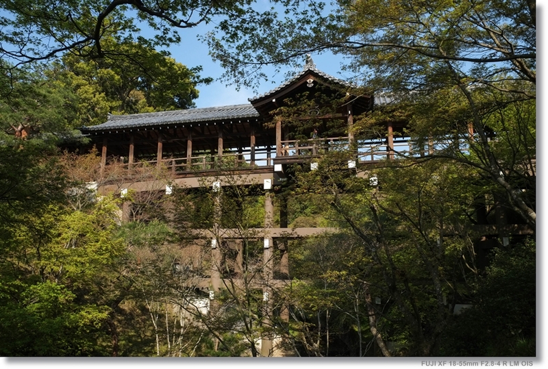 東福寺_c0054876_1410336.jpg