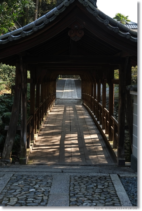 東福寺_c0054876_14122268.jpg