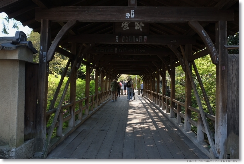 東福寺_c0054876_1471369.jpg