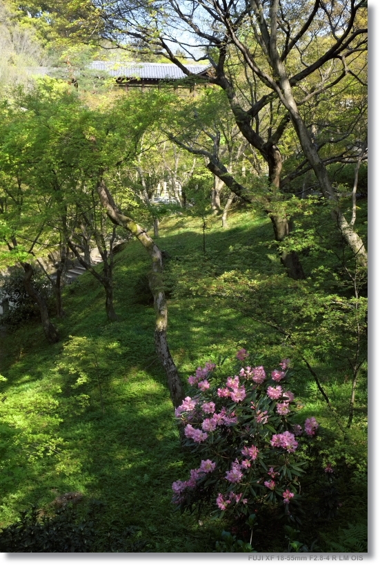 東福寺_c0054876_1472551.jpg