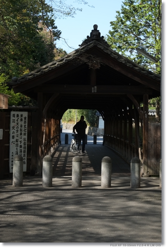 東福寺_c0054876_1473871.jpg