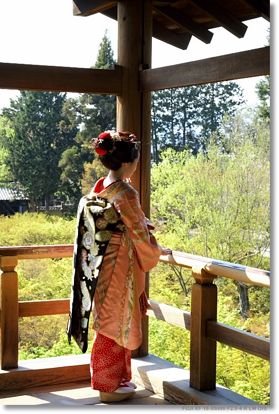 東福寺_c0054876_147527.jpg