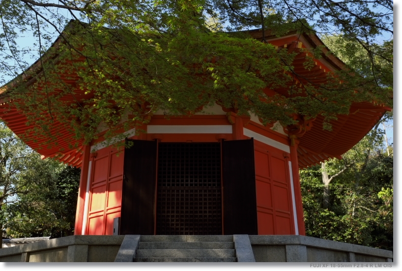 東福寺_c0054876_1481979.jpg