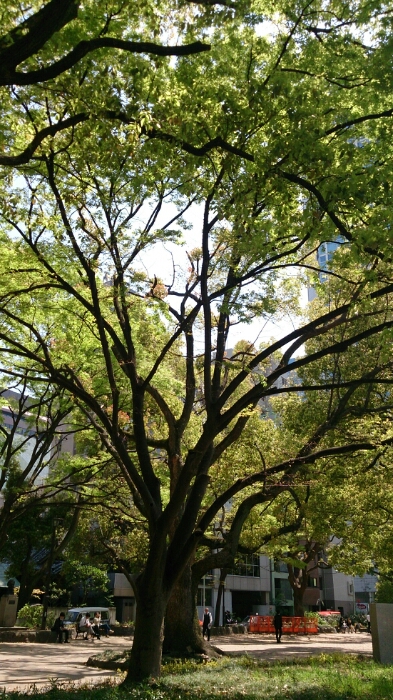 f0071477_7231820.jpg