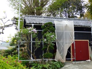 2014年4月18日 春霞じゃなかったのか_b0098584_161619.jpg